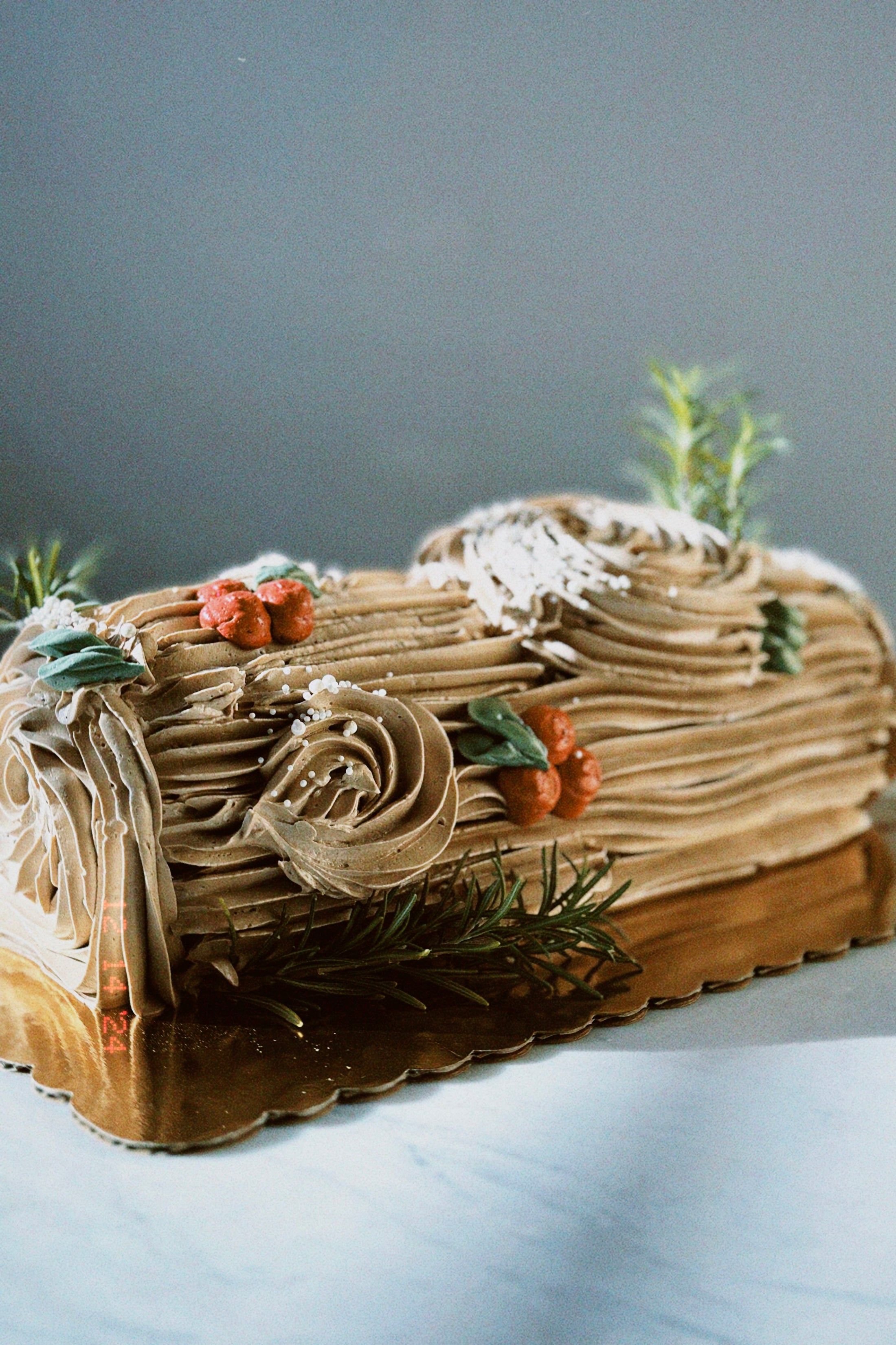 Chocolate Yule Log